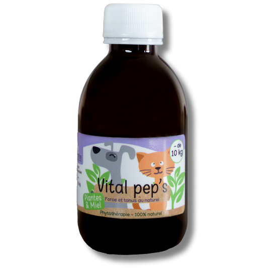 Sirop Naturel Vitalisant 200mL - Vital Pep's
